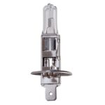 Лампа PULSO/галогенна H1/P14.5S 24v70w clear/c/box