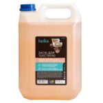 Очишувач килимових покриттів та м'яких меблів Luma 5л